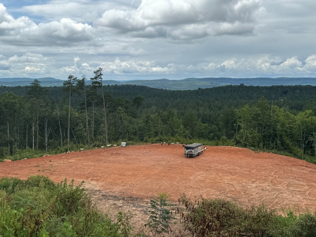 Lyerly Project Kickoff: 50 Goats, 40 Acres, and a Quail Mindset